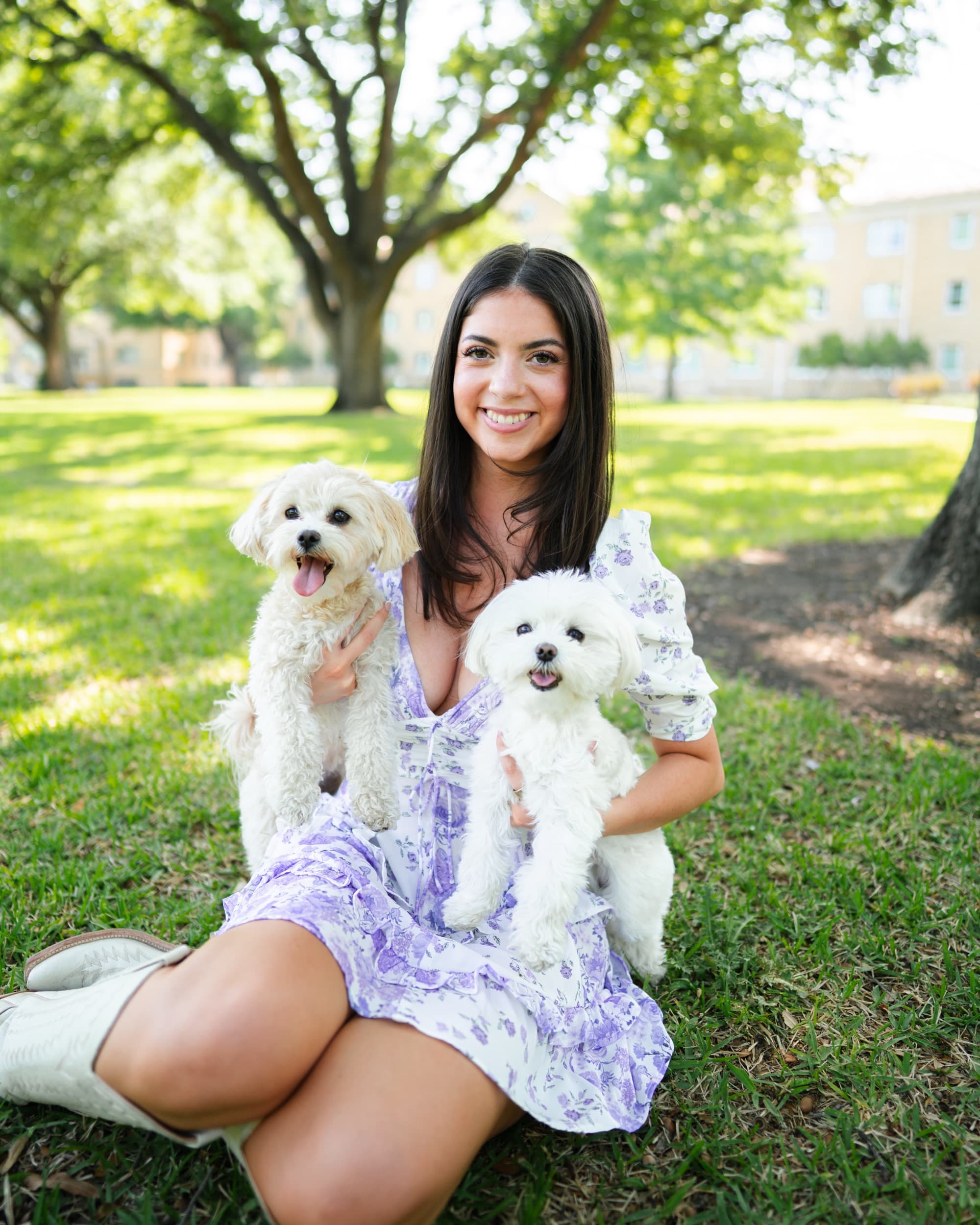 Senior in a floral dress sitting on grass, holding two fluffy white dogs.