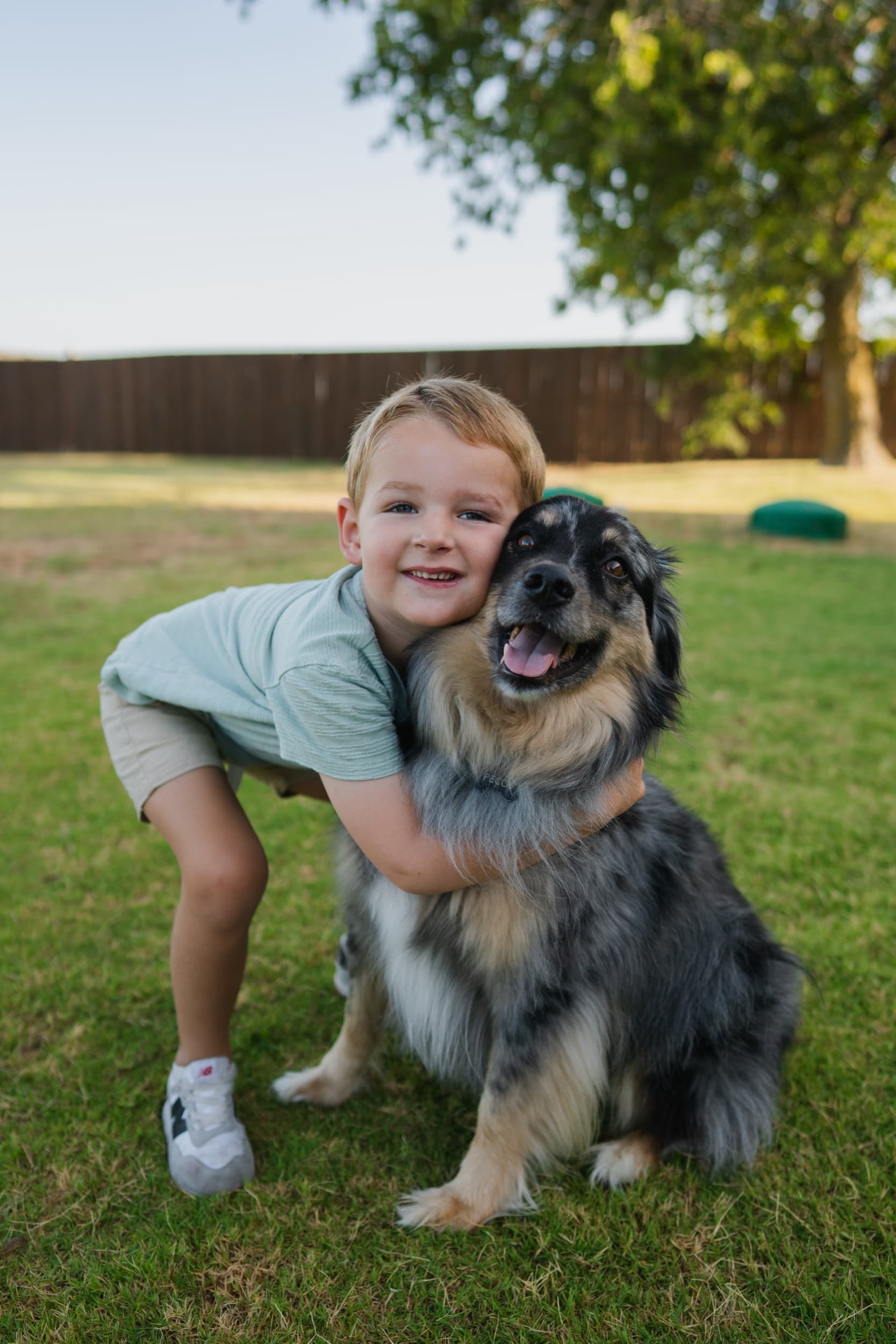 Little boy hugging a shaggy black and tan dog in a grassy backyard.
